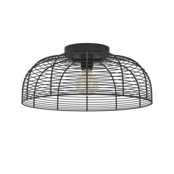 Eglo RINROE 43896 Plafondlamp 1x40W/E27 ip20