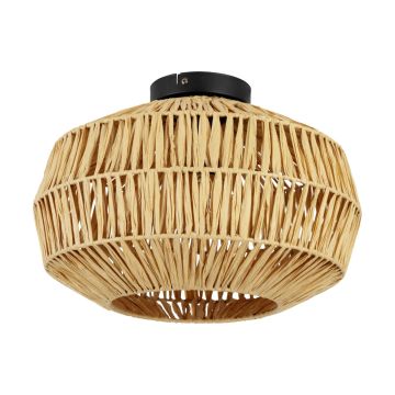 Eglo SHELDON 44142 Plafondlamp 1x40W/E27 ip20