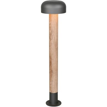 Trio FRASER 462560135 Vloerlamp 1x10w/e27 ip54