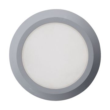 Prezent RADIX I. 48316 Plafondlamp 1x3W/LED IP65