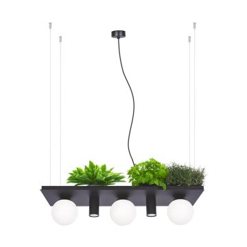 Zuma Line PLANT 5555 Hanglamp 40W/3xE14|2xgu10 IP20