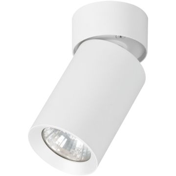 Alfa FLEX 59026 Opbouwspot 1x10W/GU10