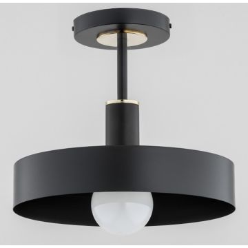 Alfa BERYT 60976 Plafondlamp 1x60W/E27 IP20