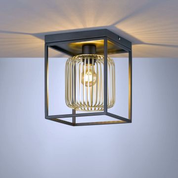 Fischer&Honsel Caydo 21294 Plafondlamp 1x40W/E27 IP20