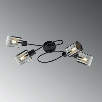 Fischer&Honsel Iska 21321 Plafondlamp 4x10W/E14 IP20
