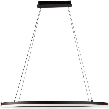 Fischer&Honsel Sirko 60977 Hanglamp 1x37,7w/led 2700k-3350k-4000k 4429lm ip20