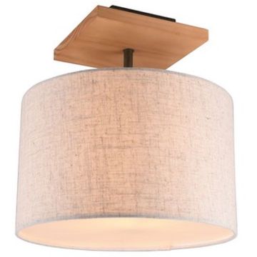 Trio ELMAU 602100130 Plafondlamp 1x60w/e27 ip20