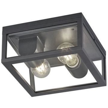 Trio GARONNE 601860242 Plafondlamp 2x10w/e27 ip44