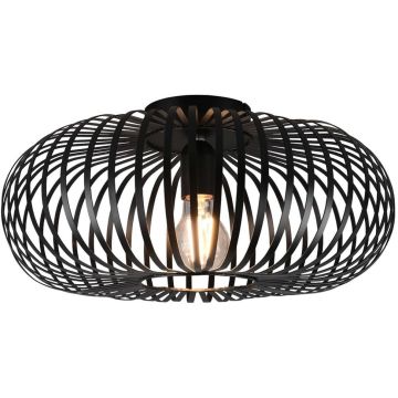Trio JOHANN 606900132 Plafondlamp 1x60w/e27 ip20