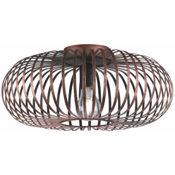 Trio JOHANN 606900162 Plafondlamp 1x60w/e27 ip20
