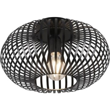 Trio JOHANN 606903032 Plafondlamp 1x60w/e27 ip20