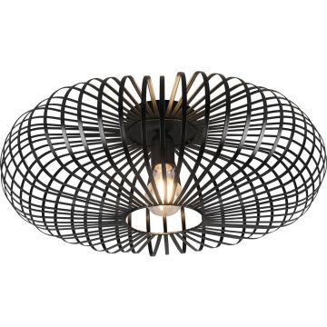 Trio JOHANN 606905032 Plafondlamp 1x60w/e27 ip20