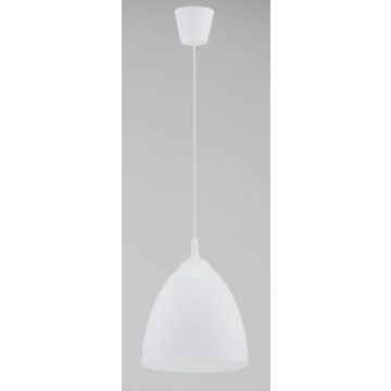 Alfa LERA 61326 Hanglamp 1x15W/E27 IP20