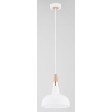 Alfa RODOS 61388 Hanglamp 1x15W/E27 IP20