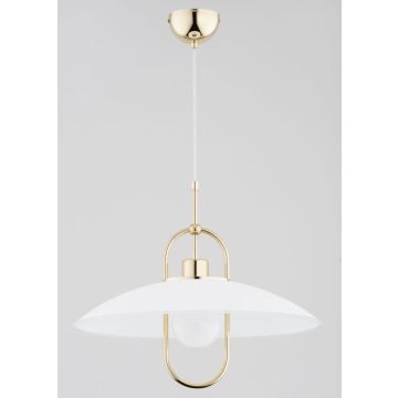 Alfa SALIX 61249 Hanglamp 1x15W/E27 IP20