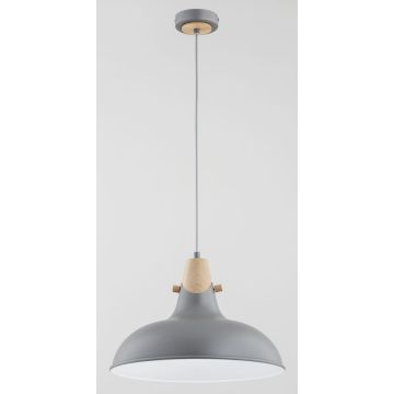 Alfa SOLO 61269 Hanglamp 1x15W/E27 IP20