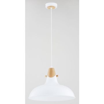Alfa SOLO 61270 Hanglamp 1x15W/E27 IP20