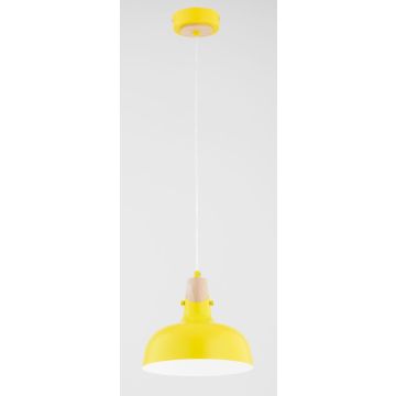 Alfa SOLO 61322 Hanglamp 1x15W/E27 IP20