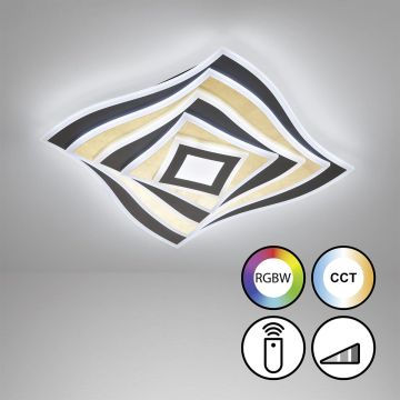Fischer&Honsel Hero 21426 Plafondlamp 1x50W/LED 2700K 4500 lm IP20
