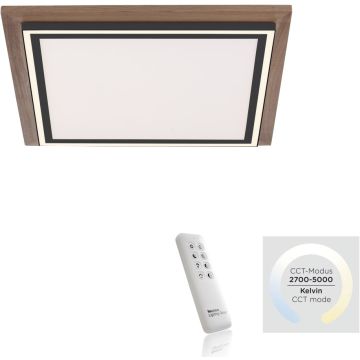 Paul Neuhaus PALMA 6141-79 Plafondlamp 2x50W/LED 2700-5000k 5100lm ip20
