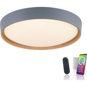 Paul Neuhaus Q-EMILIA 6118-15 Plafondlamp 1x40W/LED 2700-5000k 3720lm ip20