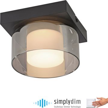 Paul Neuhaus RIKA 6162-18 Plafondlamp 1x6W/LED 3000k 680lm ip20