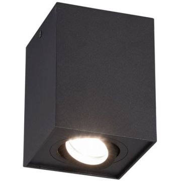 Trio BISCUIT 613000132 Opbouwspot 1x35w/gu10 ip20