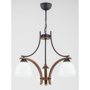 Alfa BAFIA 62421 Hanglamp 3x15W/E27 IP20