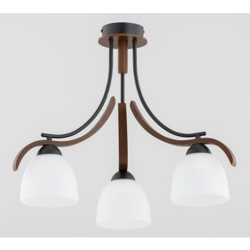 Alfa BAFIA 62422 Plafondlamp 3x15W/E27 IP20