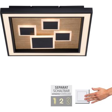 Paul Neuhaus ELIZA 6283-79 Plafondlamp 1x55W/LED 3000k 5760lm ip20