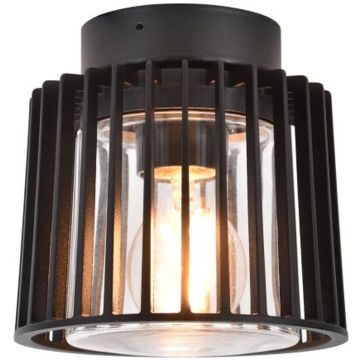 Lutec SHYNE 6397501012 Plafondlamp 1x25w/e27 ip54