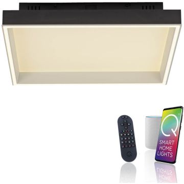Paul Neuhaus Q-MAGONG 6316-18 Plafondlamp 1x40W/LED 2700-5000k 5700lm ip20