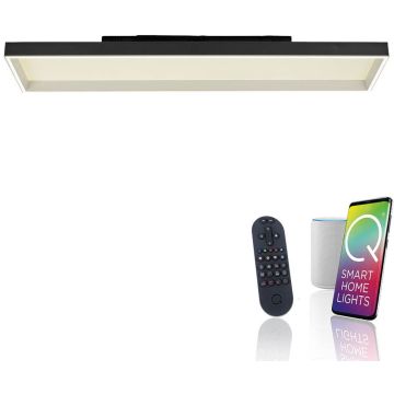 Paul Neuhaus Q-MAGONG 6317-18 Plafondlamp 1x52W/LED 2700-5000k 5800lm ip20