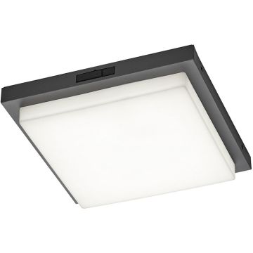 Trio BERMEJO 630369242 Plafondlamp 1x14w/led 2300+3000+4000k 1450lm ip54
