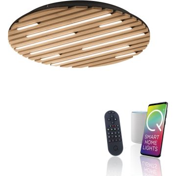 Paul Neuhaus Q-AKUSTIK 6421-79 Plafondlamp 1x38W/LED 2700-5000k 3360lm ip20