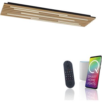 Paul Neuhaus Q-AKUSTIK 6422-79 Plafondlamp 1x48W/LED 2700-5000k 4440lm ip20