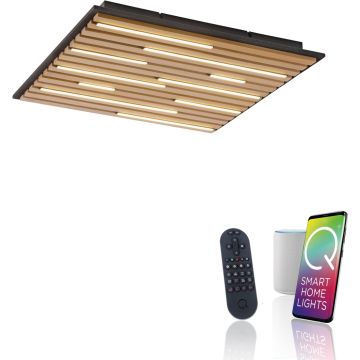 Paul Neuhaus Q-AKUSTIK 6423-79 Plafondlamp 1x35W/LED 2700-5000k 3240lm ip20