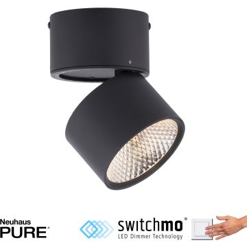 Paul Neuhaus PURE-NOLA 6451-18 Spot 1x17W/LED 3000k 1900lm ip20