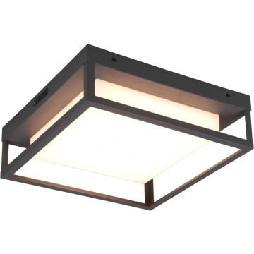 Trio WITHAM 677860142 Plafondlamp 1x14w/led 2300+3000+4000k 1550lm ip54