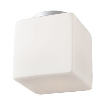 Prezent CUBIX NET 68022 Plafondlamp 1x60W/E27 IP20