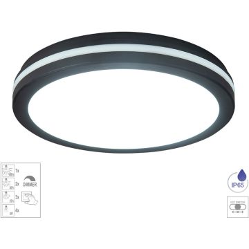 Prezent FAMO 70334 Plafondlamp 20w/led 3000-6000k 2200/2000lm ip65