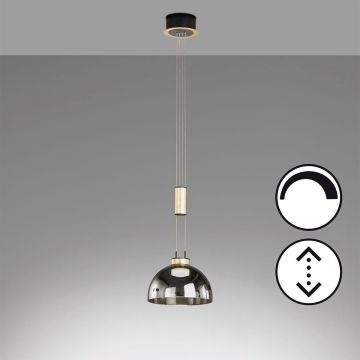 Fischer&Honsel Avignon 61013 Hanglamp 1x9W/LED 2700K 1000 lm IP20