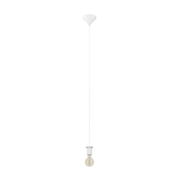 Eglo CAPOLIVERI-E 74052 Hanglamp 1x40W/E27 ip20