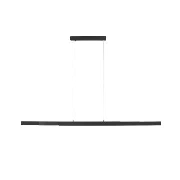 Paul Neuhaus LUZI 11660-13 Hanglamp 3x13W/LED 3000K 1500LM IP20