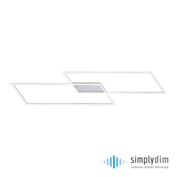 Paul Neuhaus INIGO 8194-55 Plafondlamp 2x20W/LED 3000K 2700LM IP20