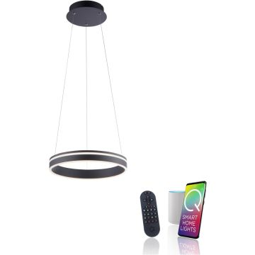 Paul Neuhaus Q-VITO 8410-13 Hanglamp 1x33W/LED 2700-5000k 3250lm ip20