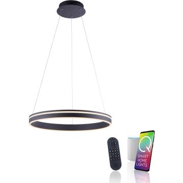 Paul Neuhaus Q-VITO 8411-13 Hanglamp 1x44W/LED 2700-5000k 4550lm ip20