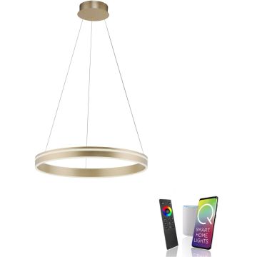 Paul Neuhaus Q-VITO 8411-60 Hanglamp 1x44W/LED 2700-5000k 4550lm ip20