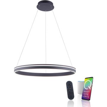 Paul Neuhaus Q-VITO 8412-13 Hanglamp 1x65W/LED 2700-5000k 7000lm ip20