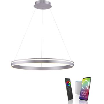 Paul Neuhaus Q-VITO 8412-55 Hanglamp 1x65W/LED 2700-5000k 7000lm ip20